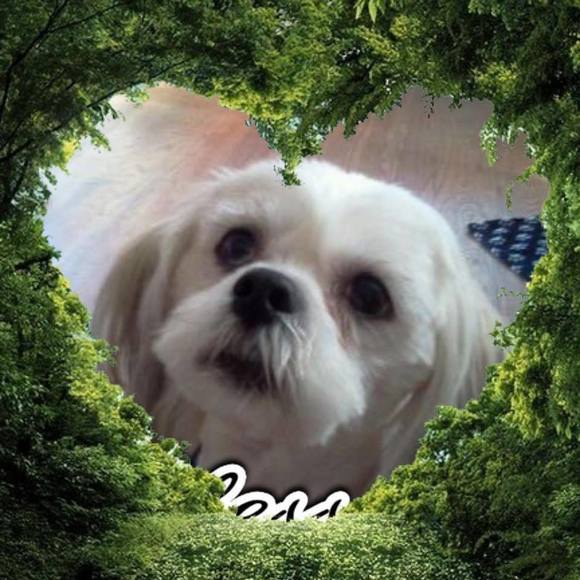 Meet your Posher, Debbie - Picture 1 of 1